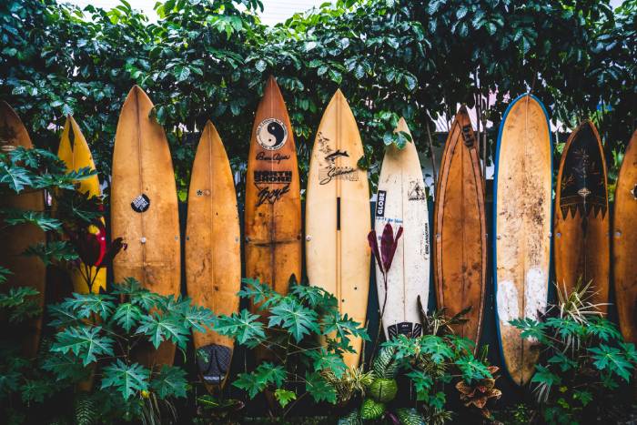 A lot of old surfboards next to each other.