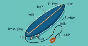 Illustration eines Surfboards mit Beschriftung der wichtigsten Teile: Nose, Deck (Oberseite), Rails, Stringer, Bottom (Unterseite), Tail (Heck), Finnen sowie Leash Plug und Leash.